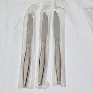 Oneida WM A Rogers Premier WINDRIFT Stainless‎ Dinner Knife Burnished Glossy